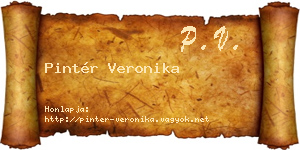 Pintér Veronika névjegykártya
